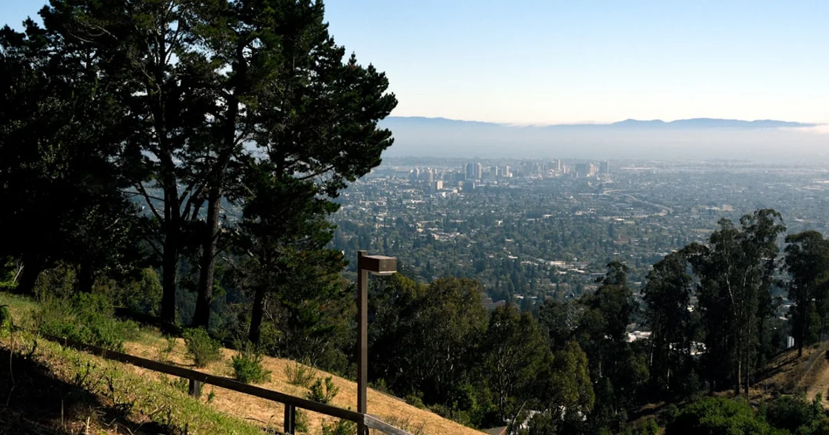 Berkeley Executive Education Programs