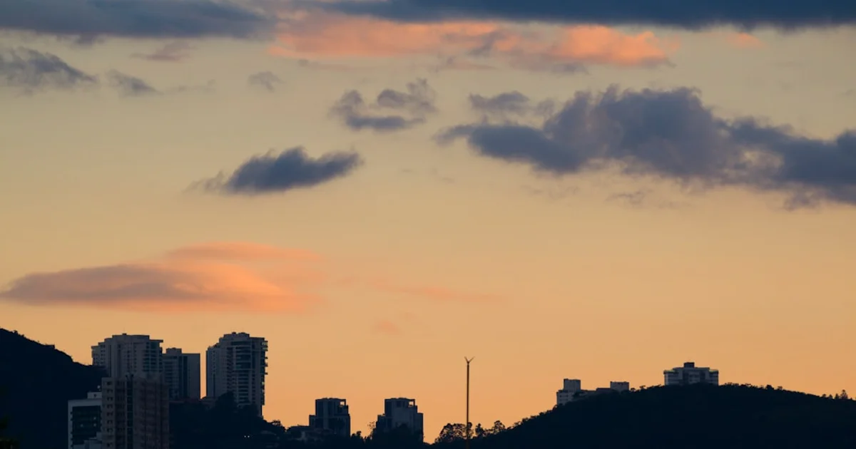 Executive Education in Brazil: Programs for Leaders