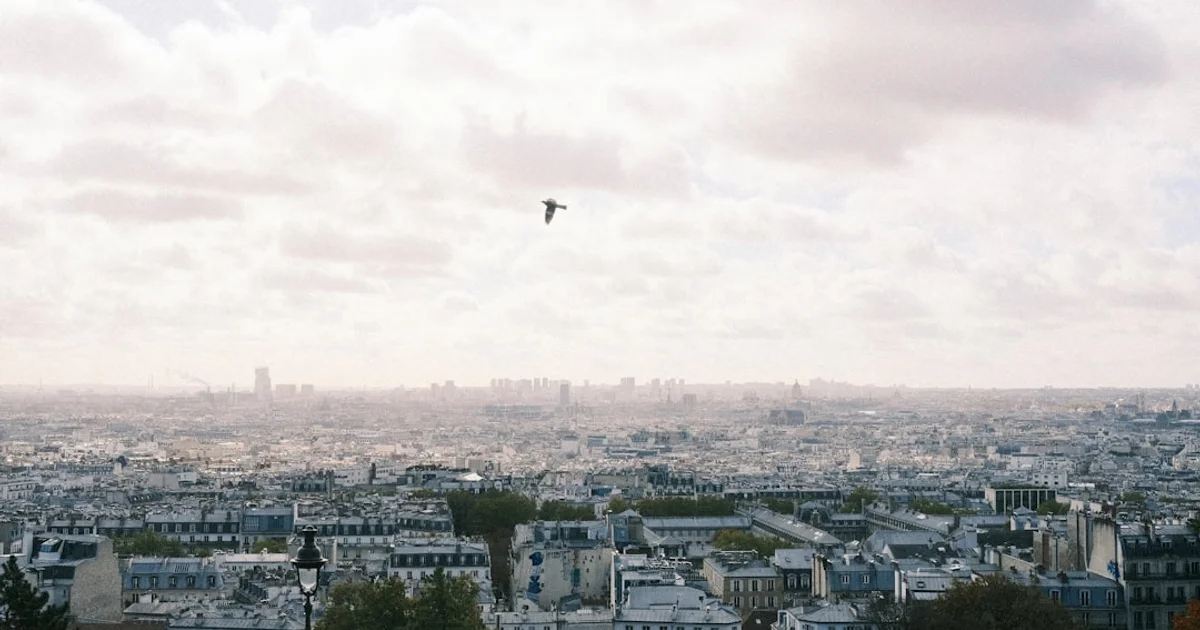 Executive Education in France: Lead with a Global Edge